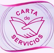carta servicios