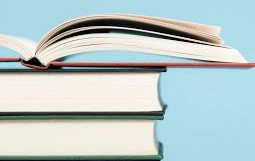 libro peticion de necsidades formacion